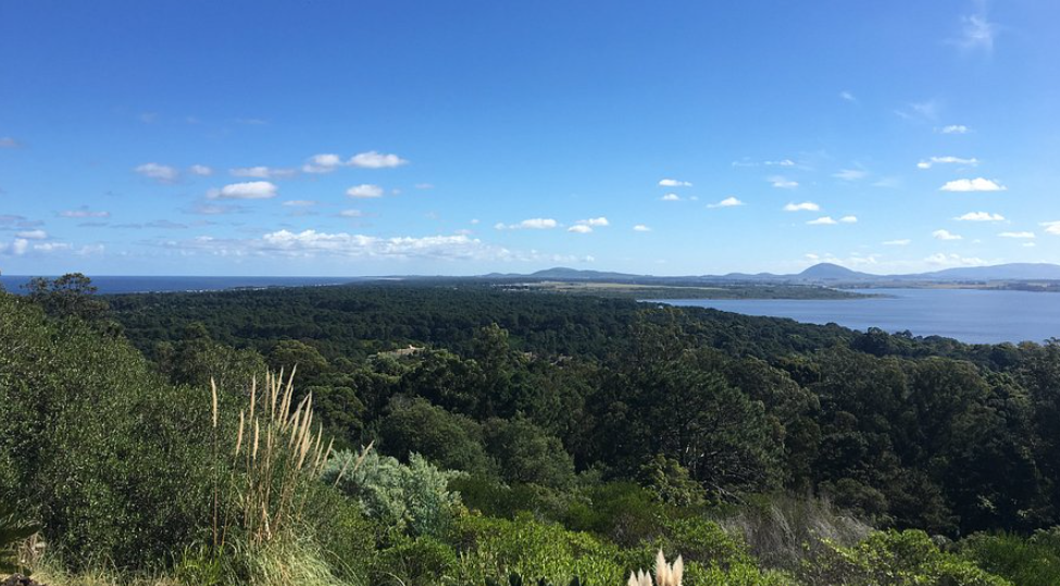 Arboretum Lussich, Maldonado Department, Uruguay